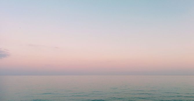 Top 5 Tips to Support Your Immune System Naturally image