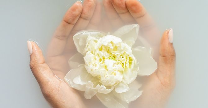 Research Roundup: Acupuncture and Immunity image