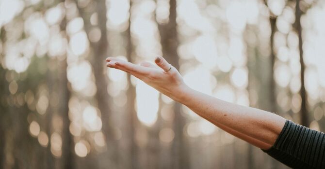 Top 5 Tips to Support Your Immune System Naturally